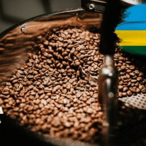 Rwanda coffee beans