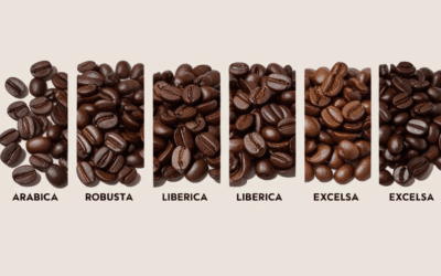 The difference between Arabica beans and other beans